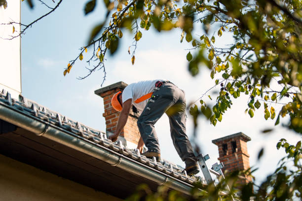 Roof Waterproofing Services in Junction City, OR